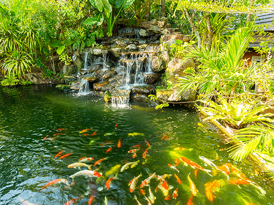 1604401658620028.jpg 00.jpg